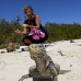 iguana_cuban_jar_v_1728_cub3672.jpg